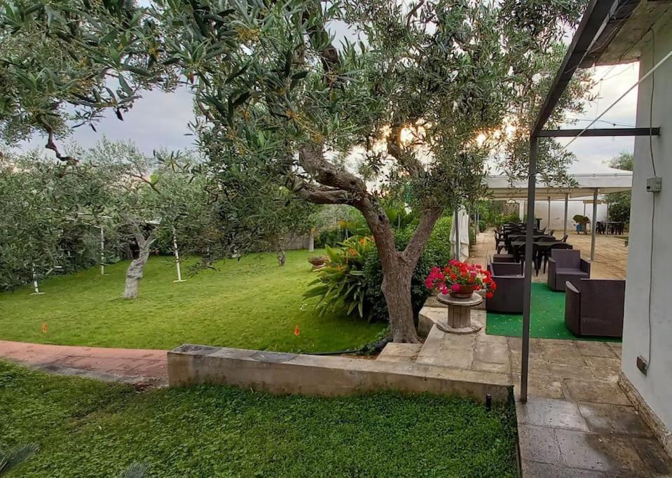 Countryhouse Gli Ulivi Модуньо Экстерьер фото