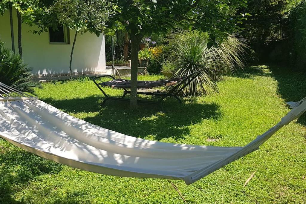 Countryhouse Gli Ulivi Модуньо Экстерьер фото