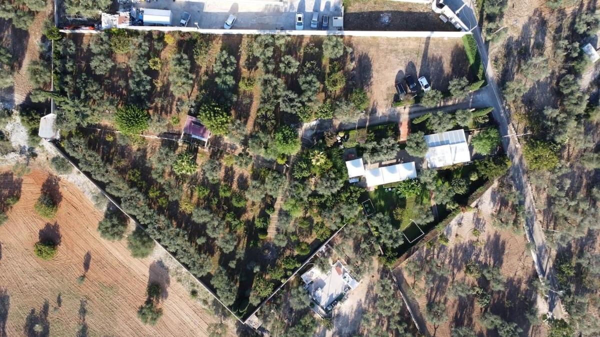 Countryhouse Gli Ulivi Модуньо Экстерьер фото