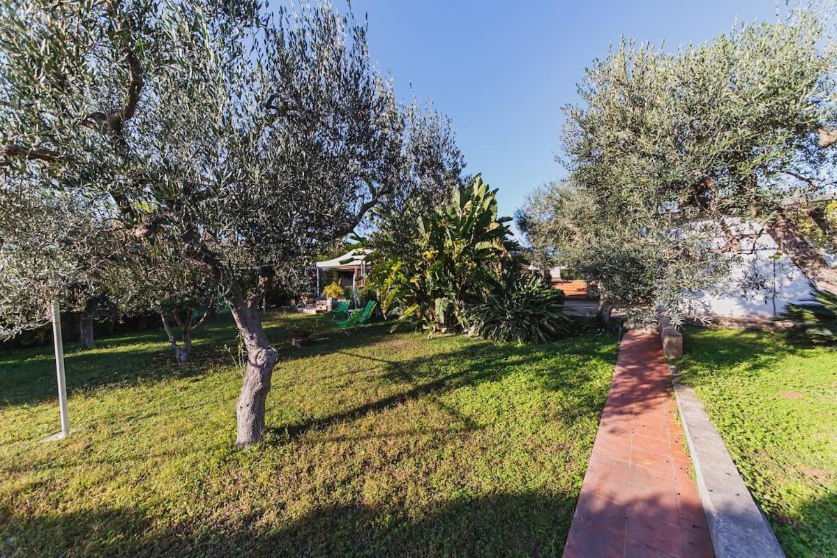 Countryhouse Gli Ulivi Модуньо Экстерьер фото
