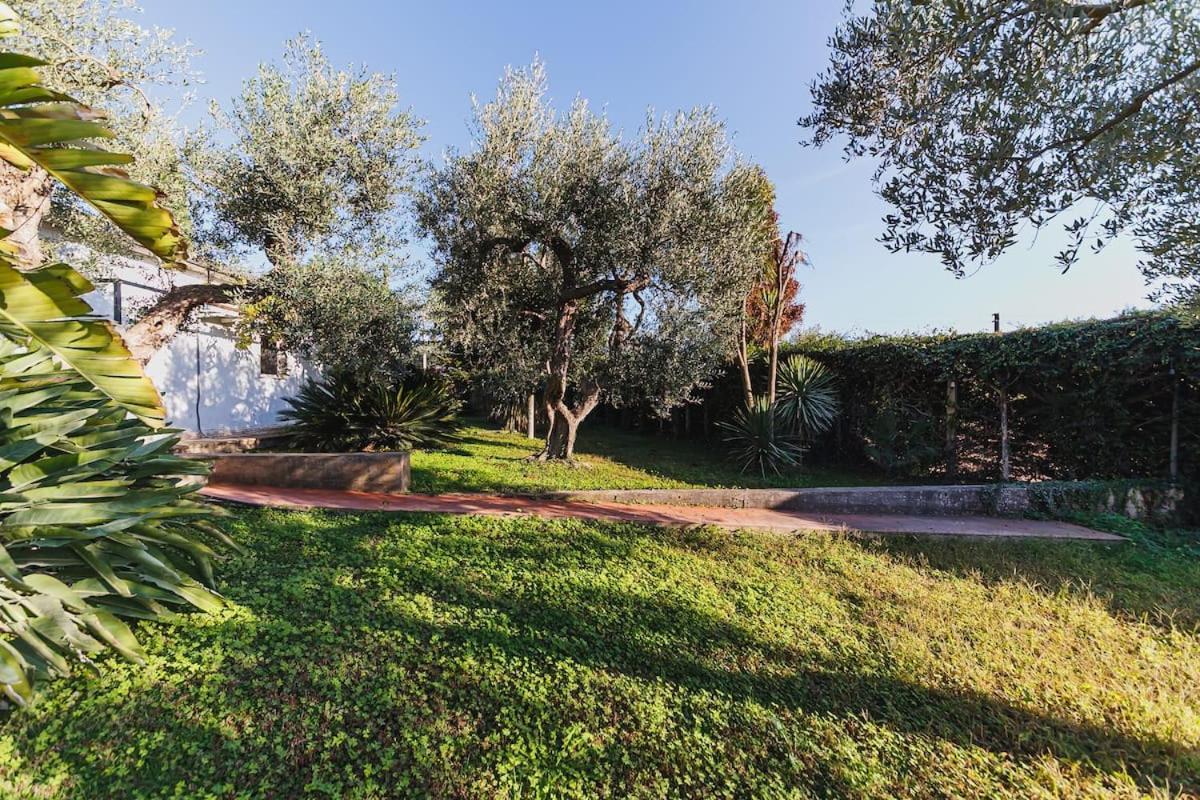 Countryhouse Gli Ulivi Модуньо Экстерьер фото